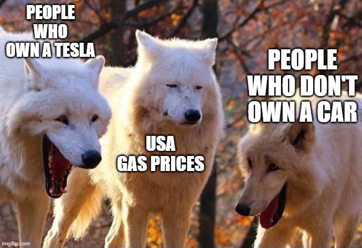 Laughing wolf | PEOPLE WHO OWN A TESLA; PEOPLE WHO DON'T OWN A CAR; USA GAS PRICES | image tagged in laughing wolf,fun | made w/ Imgflip meme maker