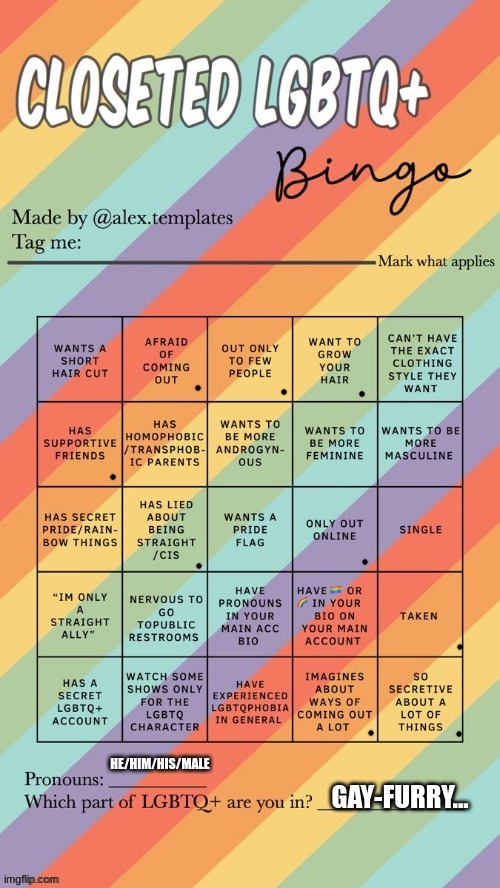 I didn't get bingo... *Sad Zalora Sounds* | HE/HIM/HIS/MALE; GAY-FURRY... | image tagged in closeted lgbtq bingo | made w/ Imgflip meme maker