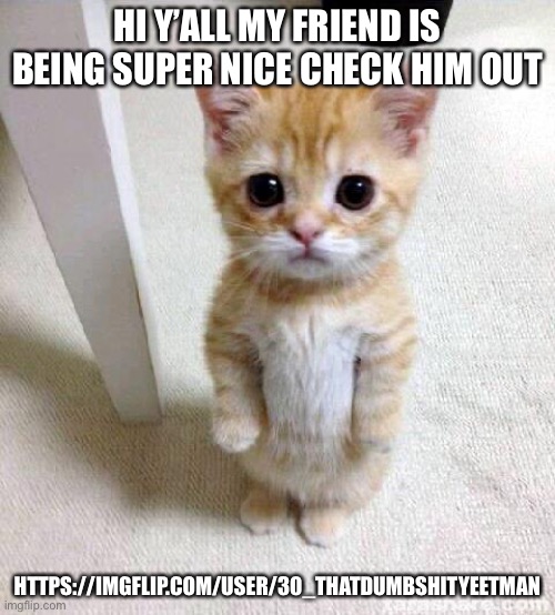 https://imgflip.com/user/30_Thatdumbshityeetman | HI Y’ALL MY FRIEND IS BEING SUPER NICE CHECK HIM OUT; HTTPS://IMGFLIP.COM/USER/30_THATDUMBSHITYEETMAN | image tagged in memes,cute cat | made w/ Imgflip meme maker