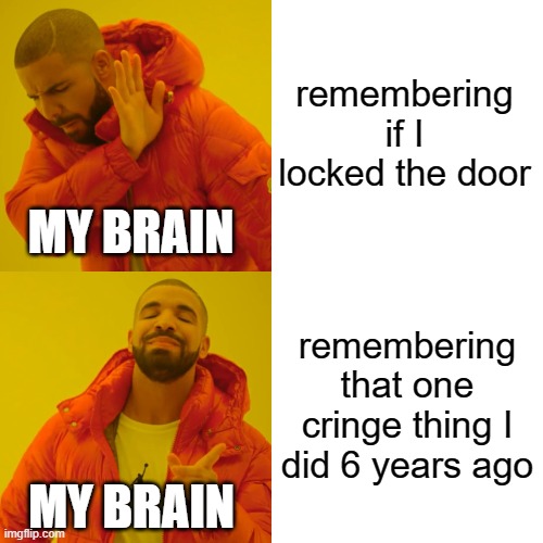 basicly how life works | remembering if I locked the door; MY BRAIN; remembering that one cringe thing I did 6 years ago; MY BRAIN | image tagged in memes,drake hotline bling | made w/ Imgflip meme maker