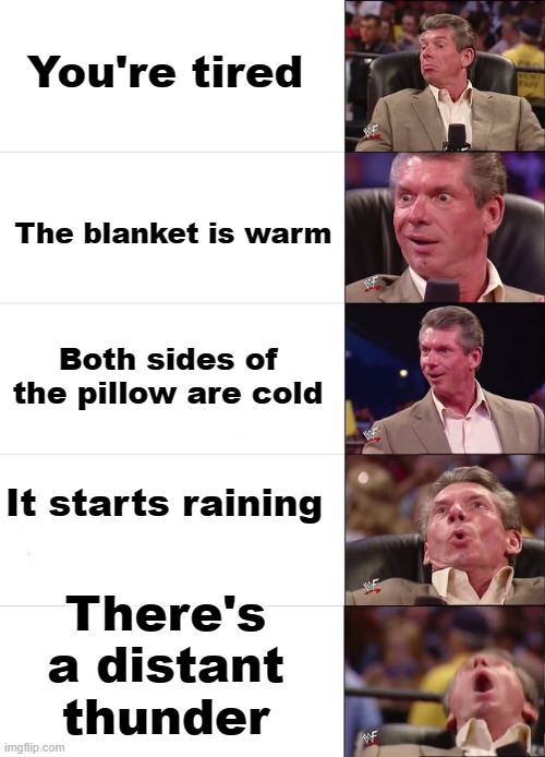 Guaranteed to make you happy | You're tired; The blanket is warm; Both sides of the pillow are cold; It starts raining; There's a distant thunder | image tagged in vince mcmahon reaction,wholesome | made w/ Imgflip meme maker