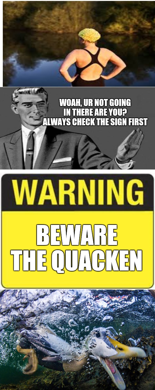 :/ | WOAH, UR NOT GOING IN THERE ARE YOU? ALWAYS CHECK THE SIGN FIRST; BEWARE THE QUACKEN | image tagged in blank white template,blank warning sign,quacken | made w/ Imgflip meme maker