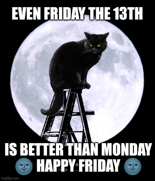 Friday the 13th | EVEN FRIDAY THE 13TH; IS BETTER THAN MONDAY
🌚 HAPPY FRIDAY 🌚 | image tagged in friday the 13th,friday memes,monday memes,cats,cat memes,black cats | made w/ Imgflip meme maker