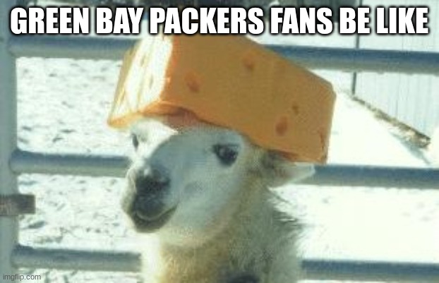 Upvote if you hate the bears |  GREEN BAY PACKERS FANS BE LIKE | image tagged in llama cheese hat,nfl memes,nfl,green bay packers,cheese | made w/ Imgflip meme maker