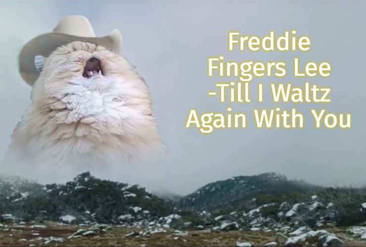 Screaming Cowboy Cat | Freddie Fingers Lee -Till I Waltz Again With You | image tagged in screaming cowboy cat,slavic,freddie fingers lee,till i waltz again with you,freddie fingaz,blacklabel jedih | made w/ Imgflip meme maker
