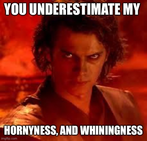 This is how it should have gone. | YOU UNDERESTIMATE MY; HORNYNESS, AND WHININGNESS | image tagged in anakin star wars | made w/ Imgflip meme maker