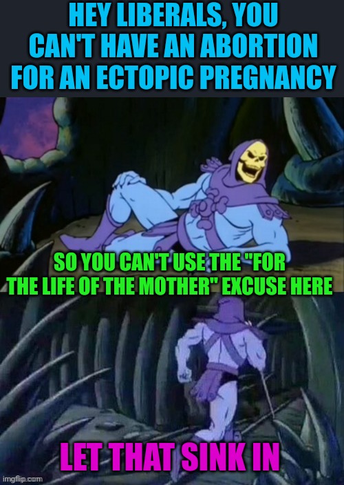 The procedure to remove an ectopic pregnancy isn't even an abortion and it's rare (2% of pregnancies) | HEY LIBERALS, YOU CAN'T HAVE AN ABORTION FOR AN ECTOPIC PREGNANCY; SO YOU CAN'T USE THE "FOR THE LIFE OF THE MOTHER" EXCUSE HERE; LET THAT SINK IN | image tagged in skeletor disturbing facts | made w/ Imgflip meme maker