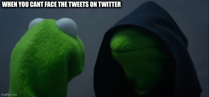 Evil Kermit | WHEN YOU CANT FACE THE TWEETS ON TWITTER | image tagged in memes,evil kermit | made w/ Imgflip meme maker