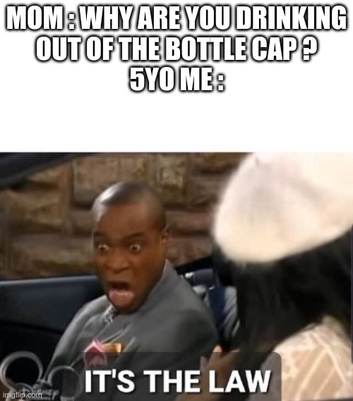 It's The Law |  MOM : WHY ARE YOU DRINKING
OUT OF THE BOTTLE CAP ?
5YO ME : | image tagged in it's the law | made w/ Imgflip meme maker