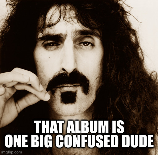Frank Zappa | THAT ALBUM IS ONE BIG CONFUSED DUDE | image tagged in frank zappa | made w/ Imgflip meme maker
