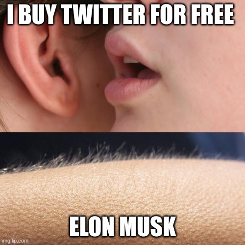 Whisper and Goosebumps | I BUY TWITTER FOR FREE; ELON MUSK | image tagged in whisper and goosebumps,funny | made w/ Imgflip meme maker