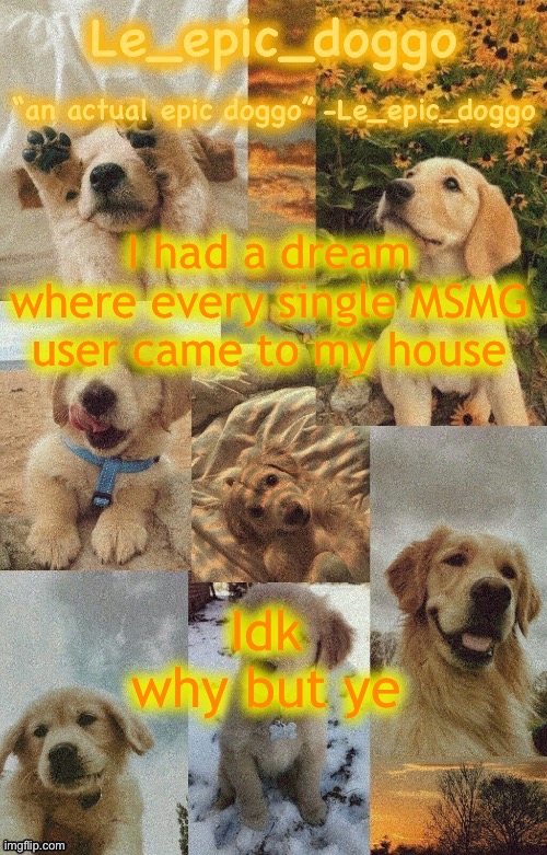 Doggo temp by doggo. Wait what that’s confusing | I had a dream where every single MSMG user came to my house; Idk why but ye | image tagged in doggo temp by doggo wait what that s confusing | made w/ Imgflip meme maker