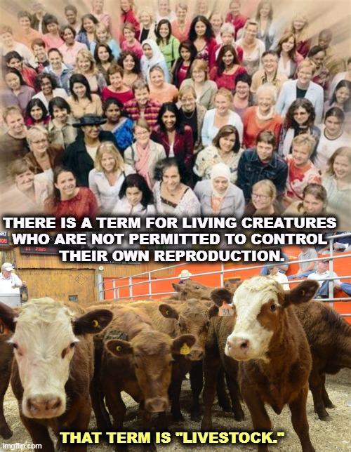 THERE IS A TERM FOR LIVING CREATURES 
WHO ARE NOT PERMITTED TO CONTROL 
THEIR OWN REPRODUCTION. THAT TERM IS "LIVESTOCK." | image tagged in right wing,gop,republican,misogyny,hatred,women | made w/ Imgflip meme maker