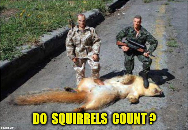 DO  SQUIRRELS  COUNT ? | made w/ Imgflip meme maker