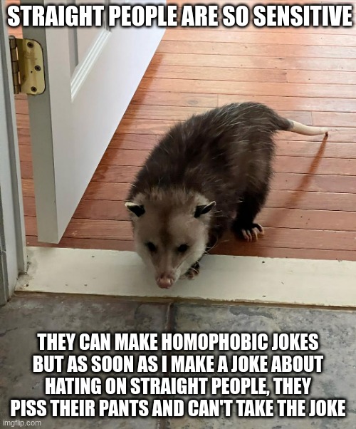 Hmm.. I wonder why.. | STRAIGHT PEOPLE ARE SO SENSITIVE; THEY CAN MAKE HOMOPHOBIC JOKES BUT AS SOON AS I MAKE A JOKE ABOUT HATING ON STRAIGHT PEOPLE, THEY PISS THEIR PANTS AND CAN'T TAKE THE JOKE | made w/ Imgflip meme maker