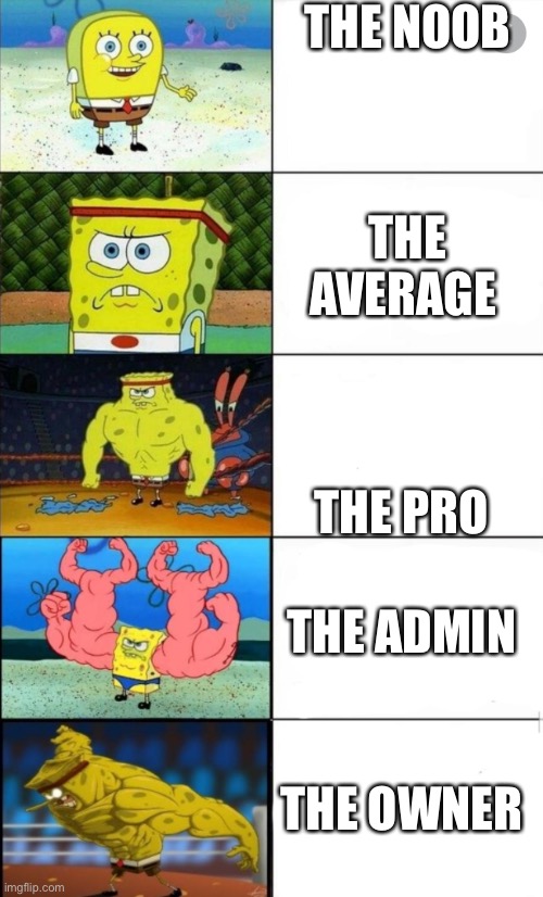 Roblox games in a nutshell | THE NOOB; THE AVERAGE; THE PRO; THE ADMIN; THE OWNER | image tagged in sponge bob strength,roblox meme | made w/ Imgflip meme maker