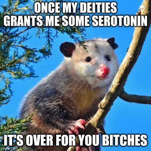 ONCE MY DEITIES GRANTS ME SOME SEROTONIN; IT'S OVER FOR YOU BITCHES | made w/ Imgflip meme maker