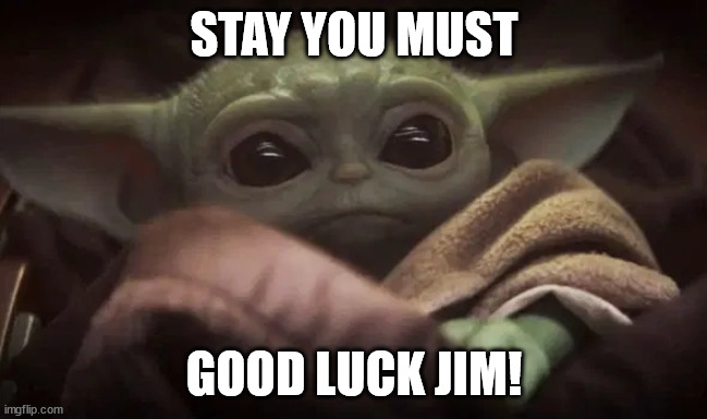 Baby Yoda | STAY YOU MUST; GOOD LUCK JIM! | image tagged in baby yoda | made w/ Imgflip meme maker