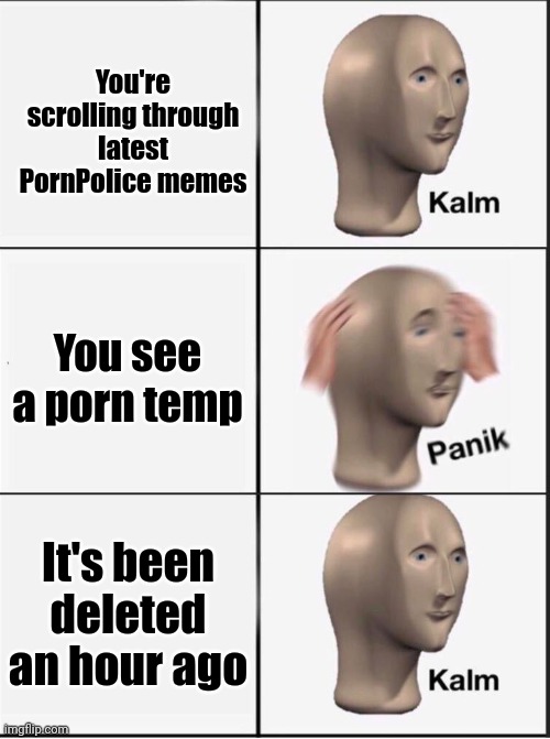 Reverse kalm panik | You're scrolling through latest PornPolice memes; You see a porn temp; It's been deleted an hour ago | image tagged in reverse kalm panik | made w/ Imgflip meme maker