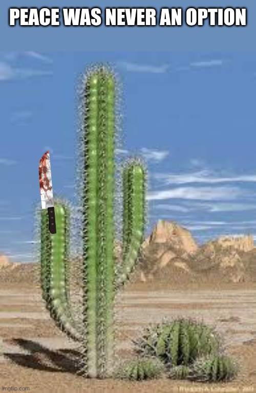 cactus | PEACE WAS NEVER AN OPTION | image tagged in cactus | made w/ Imgflip meme maker