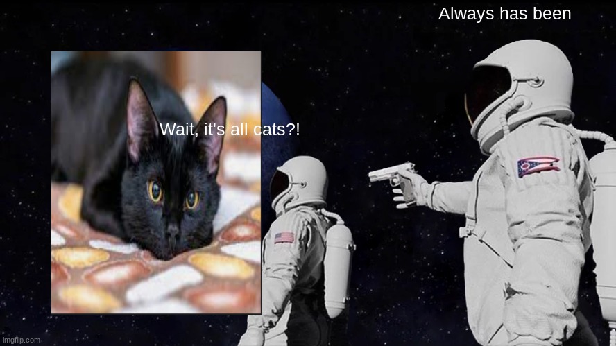 Always Has Been Meme | Always has been; Wait, it's all cats?! | image tagged in memes,always has been | made w/ Imgflip meme maker