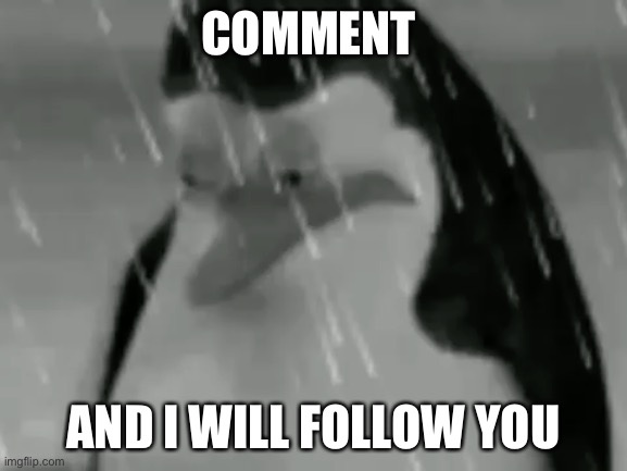 Sadge | COMMENT; AND I WILL FOLLOW YOU | image tagged in sadge | made w/ Imgflip meme maker