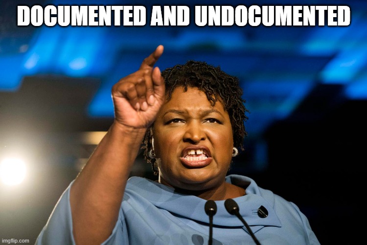 Stacy Abrams Documented and Undocumented | DOCUMENTED AND UNDOCUMENTED | image tagged in political meme | made w/ Imgflip meme maker