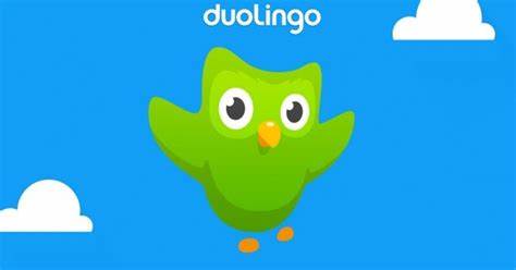 Duolingo Flying Blank Meme Template