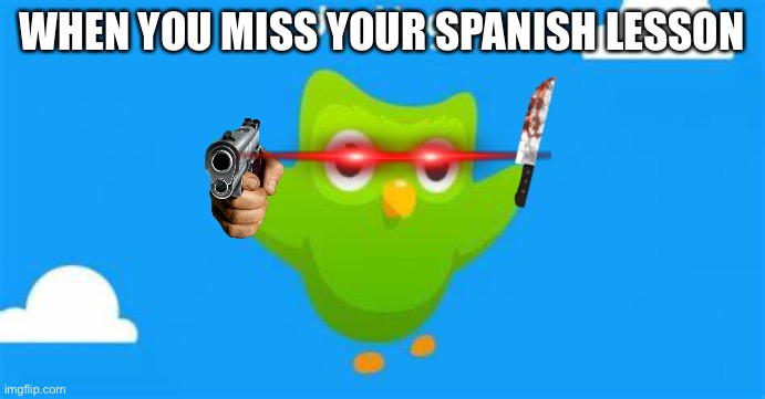 oh noes | WHEN YOU MISS YOUR SPANISH LESSON | image tagged in duolingo flying | made w/ Imgflip meme maker