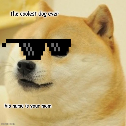 Doge | the coolest dog ever; his name is your mom | image tagged in memes,doge | made w/ Imgflip meme maker