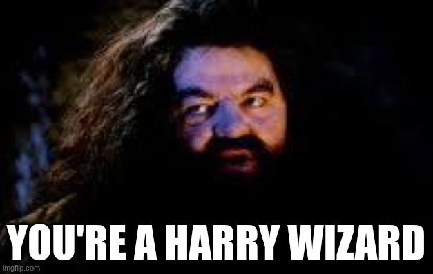 You're a harry wizard | YOU'RE A HARRY WIZARD | image tagged in your a wizard harry | made w/ Imgflip meme maker