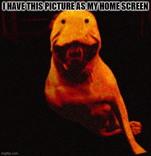 it's BEAUTIFUL | I HAVE THIS PICTURE AS MY HOME SCREEN | image tagged in beautiful,dog | made w/ Imgflip meme maker