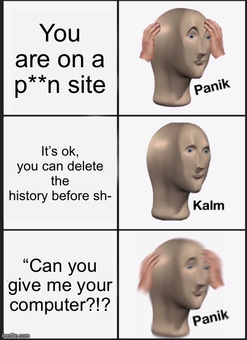 Ya! | You are on a p**n site; It’s ok, you can delete the history before sh-; “Can you give me your computer?!? | image tagged in memes,panik kalm panik | made w/ Imgflip meme maker