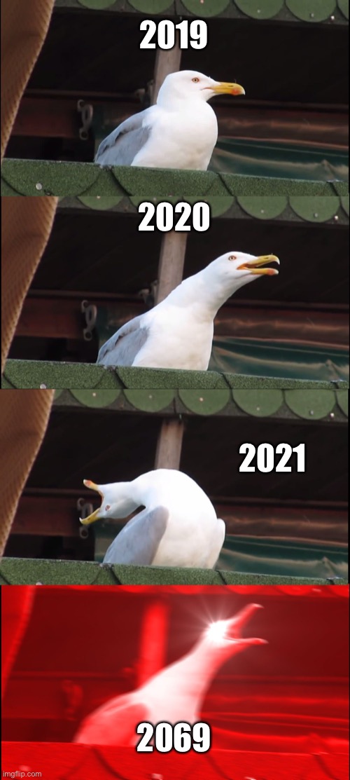 Inhaling Seagull | 2019; 2020; 2021; 2069 | image tagged in memes,inhaling seagull | made w/ Imgflip meme maker