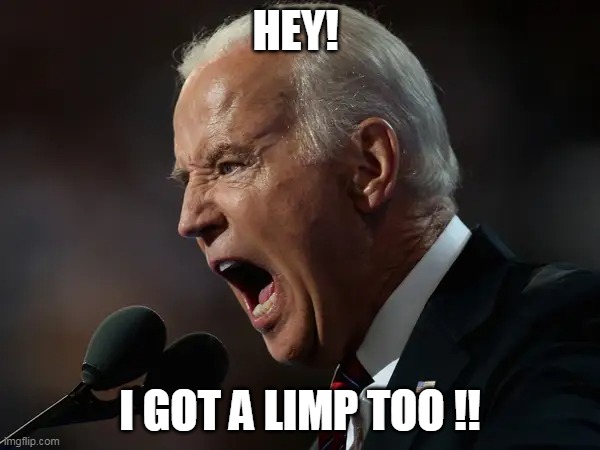 HEY! I GOT A LIMP TOO !! | made w/ Imgflip meme maker