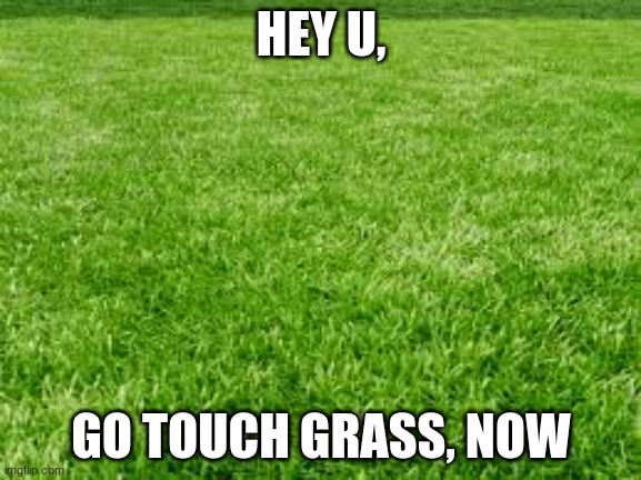 Go touch grass Animated Gif Maker - Piñata Farms - The best meme generator  and meme maker for video & image memes