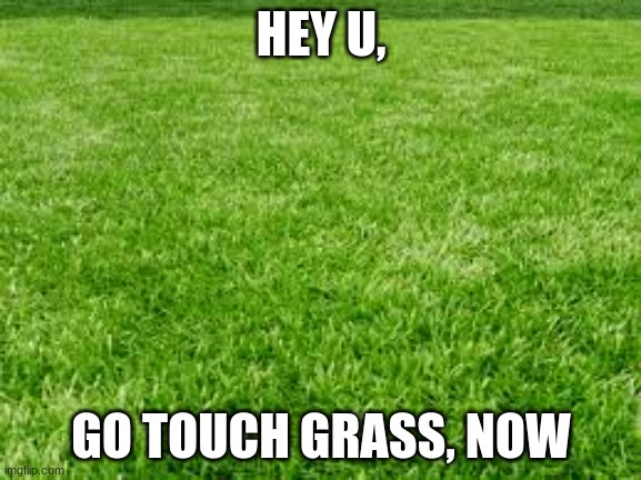 And yet they tell us to touch grass - Imgflip