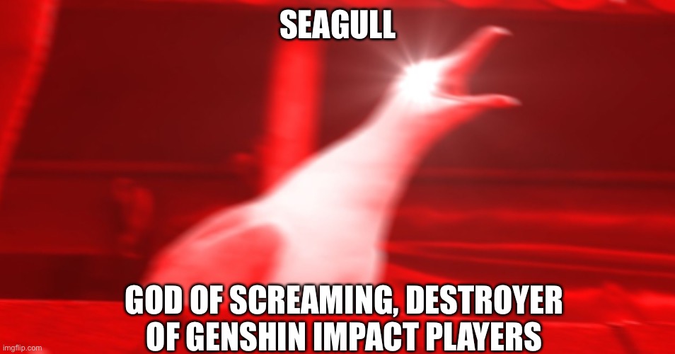 ALL HAIL THE GULL!!! | SEAGULL; GOD OF SCREAMING, DESTROYER OF GENSHIN IMPACT PLAYERS | made w/ Imgflip meme maker
