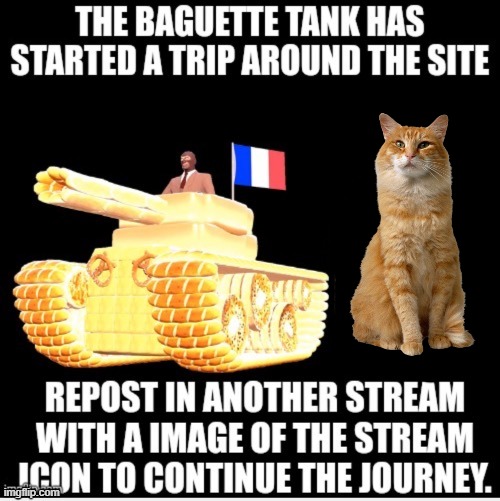You all know what to do. | image tagged in baguette tank,cats,imgflip | made w/ Imgflip meme maker