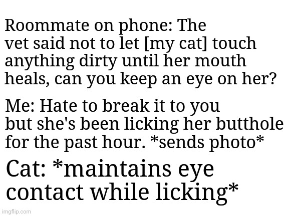 Blank White Template | Roommate on phone: The vet said not to let [my cat] touch anything dirty until her mouth heals, can you keep an eye on her? Me: Hate to break it to you but she's been licking her butthole for the past hour. *sends photo*; Cat: *maintains eye contact while licking* | image tagged in blank white template,cats | made w/ Imgflip meme maker