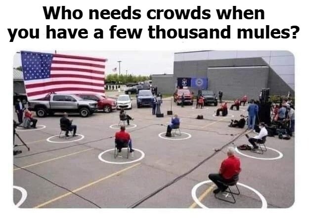 Who needs crowds when you have a few thousand mules? | image tagged in 2000 mule team,2000 mules,jackass party,cheaters,hillary clinton lying democrat liberal,treason | made w/ Imgflip meme maker