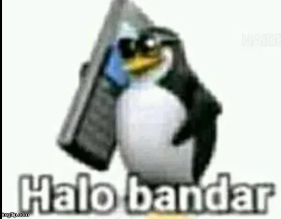 H a  l  o  b a n d  e  r | made w/ Imgflip meme maker