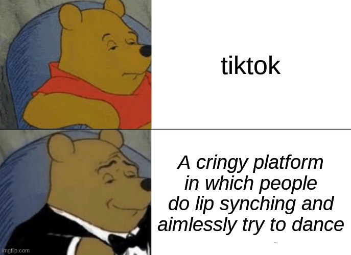 true tho | tiktok; A cringy platform in which people do lip synching and aimlessly try to dance | image tagged in memes,tuxedo winnie the pooh | made w/ Imgflip meme maker