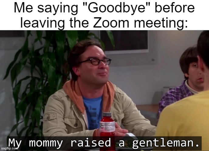 My mommy raised a gentleman | Me saying "Goodbye" before leaving the Zoom meeting: | image tagged in my mommy raised a gentleman | made w/ Imgflip meme maker