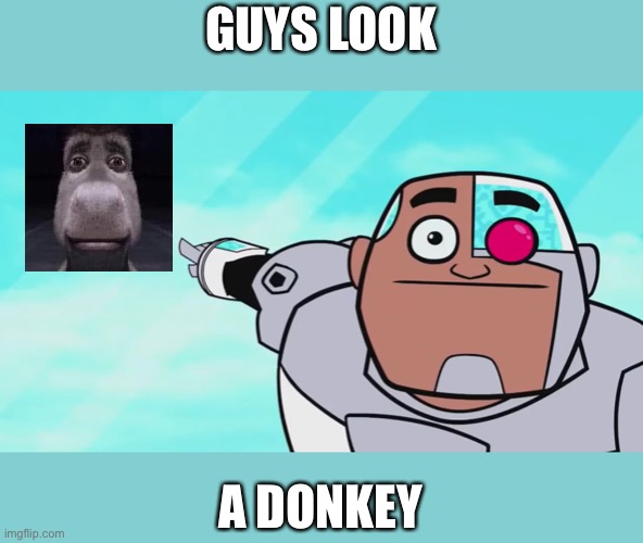 This is for jimmyhere | GUYS LOOK; A DONKEY | image tagged in guys look a birdie,wednesday,jimmy,here,donkey,staring | made w/ Imgflip meme maker