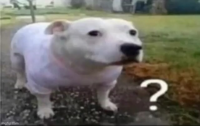 ? Dog | image tagged in dog | made w/ Imgflip meme maker