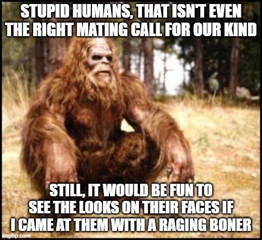 stupid humans | STUPID HUMANS, THAT ISN'T EVEN THE RIGHT MATING CALL FOR OUR KIND; STILL, IT WOULD BE FUN TO SEE THE LOOKS ON THEIR FACES IF I CAME AT THEM WITH A RAGING BONER | image tagged in sitting sasquatch,stupid humans,mating call | made w/ Imgflip meme maker