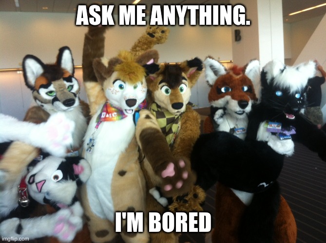 Furries | ASK ME ANYTHING. I'M BORED | image tagged in furries | made w/ Imgflip meme maker