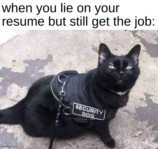specialty cat |  when you lie on your resume but still get the job: | image tagged in funny,memes,funny memes,cats,barney will eat all of your delectable biscuits,oh wow are you actually reading these tags | made w/ Imgflip meme maker