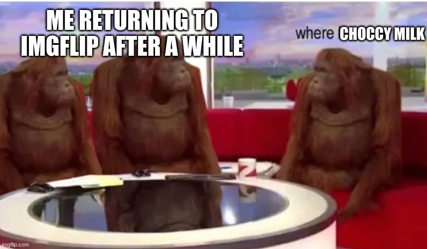 Three monkeys | CHOCCY MILK; ME RETURNING TO IMGFLIP AFTER A WHILE | image tagged in three monkeys | made w/ Imgflip meme maker